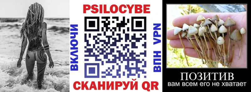 Псилоцибиновые грибы мухоморы  наркошоп  Абинск 